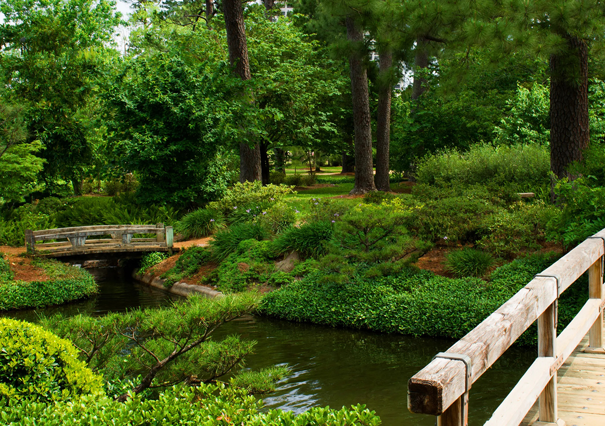 Houston Nature: Best Tours in Parks and Gardens