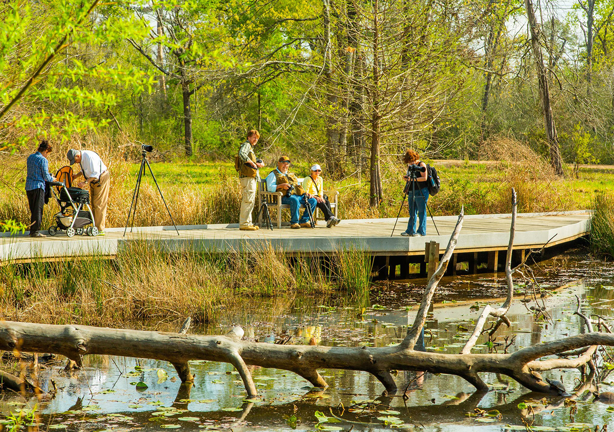 Outdoor Activities in Houston: Hiking, Biking, and More