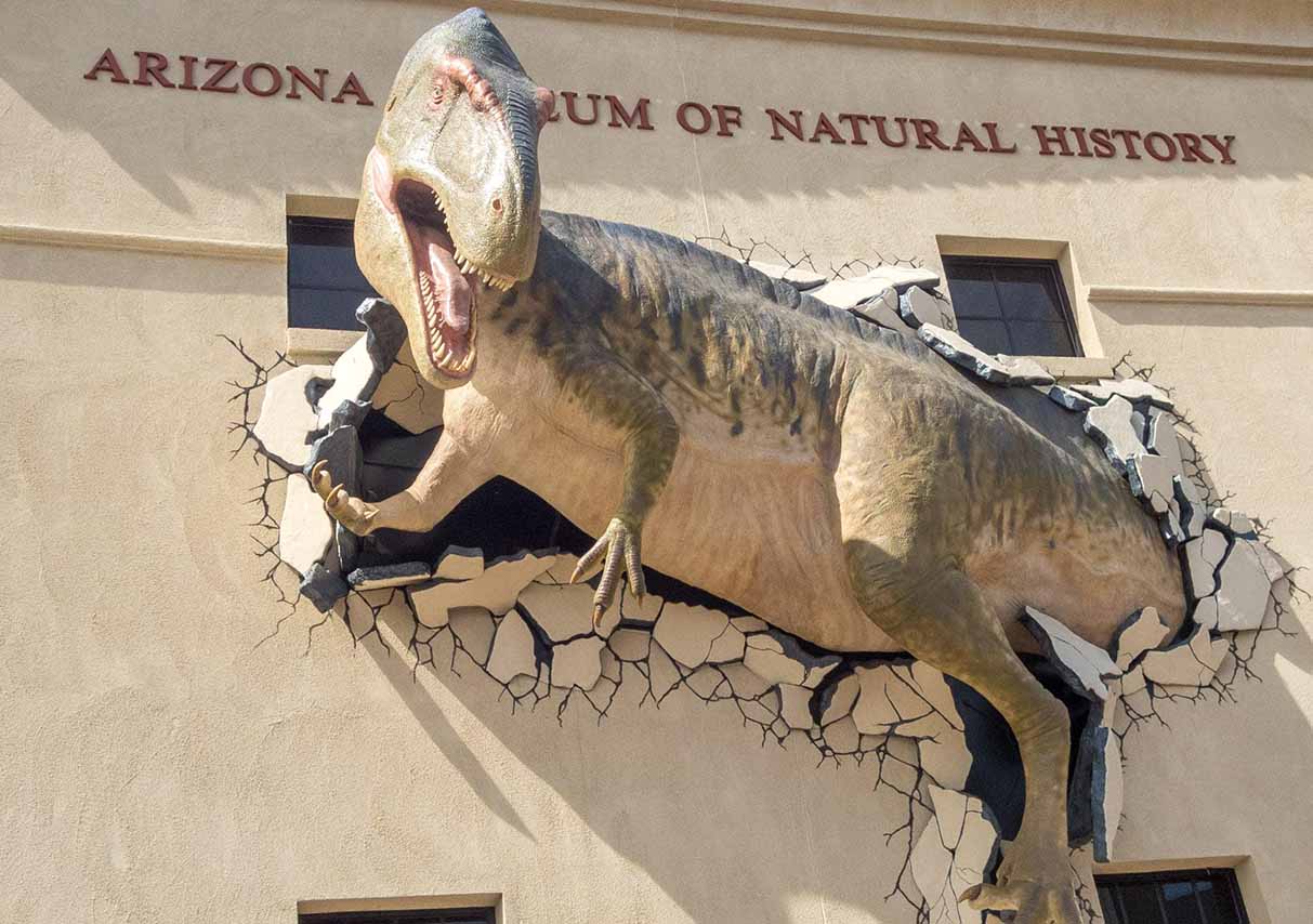 Tucson Travel Guide: How to Efficiently Plan Your Trip